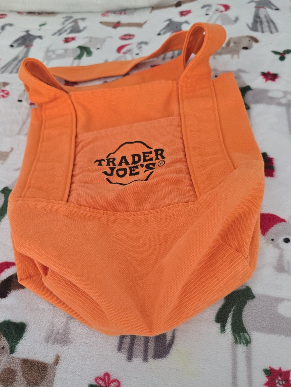 Trader Joe's Small Tote